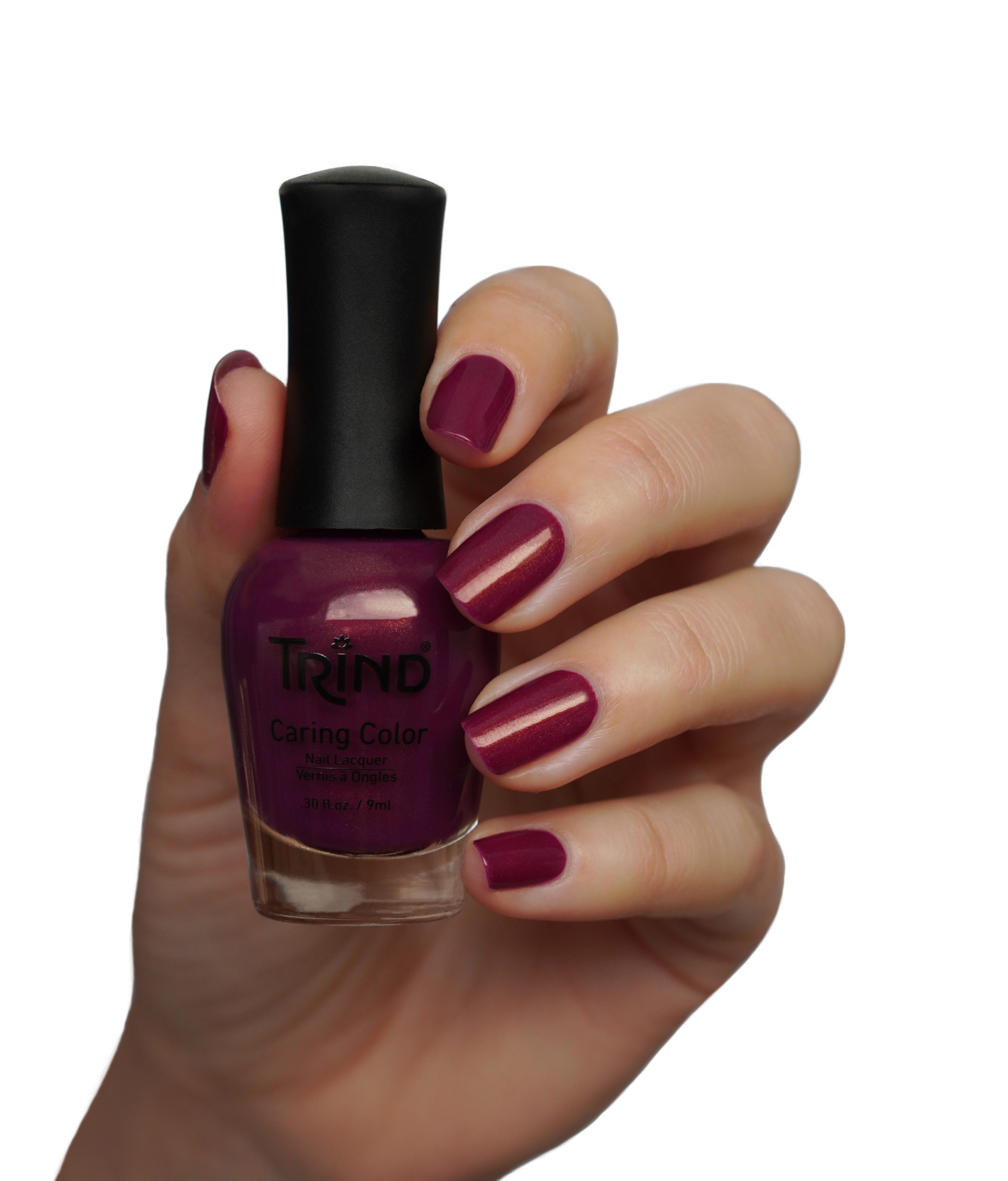 Purple Zinnia CC303 - immagine 2