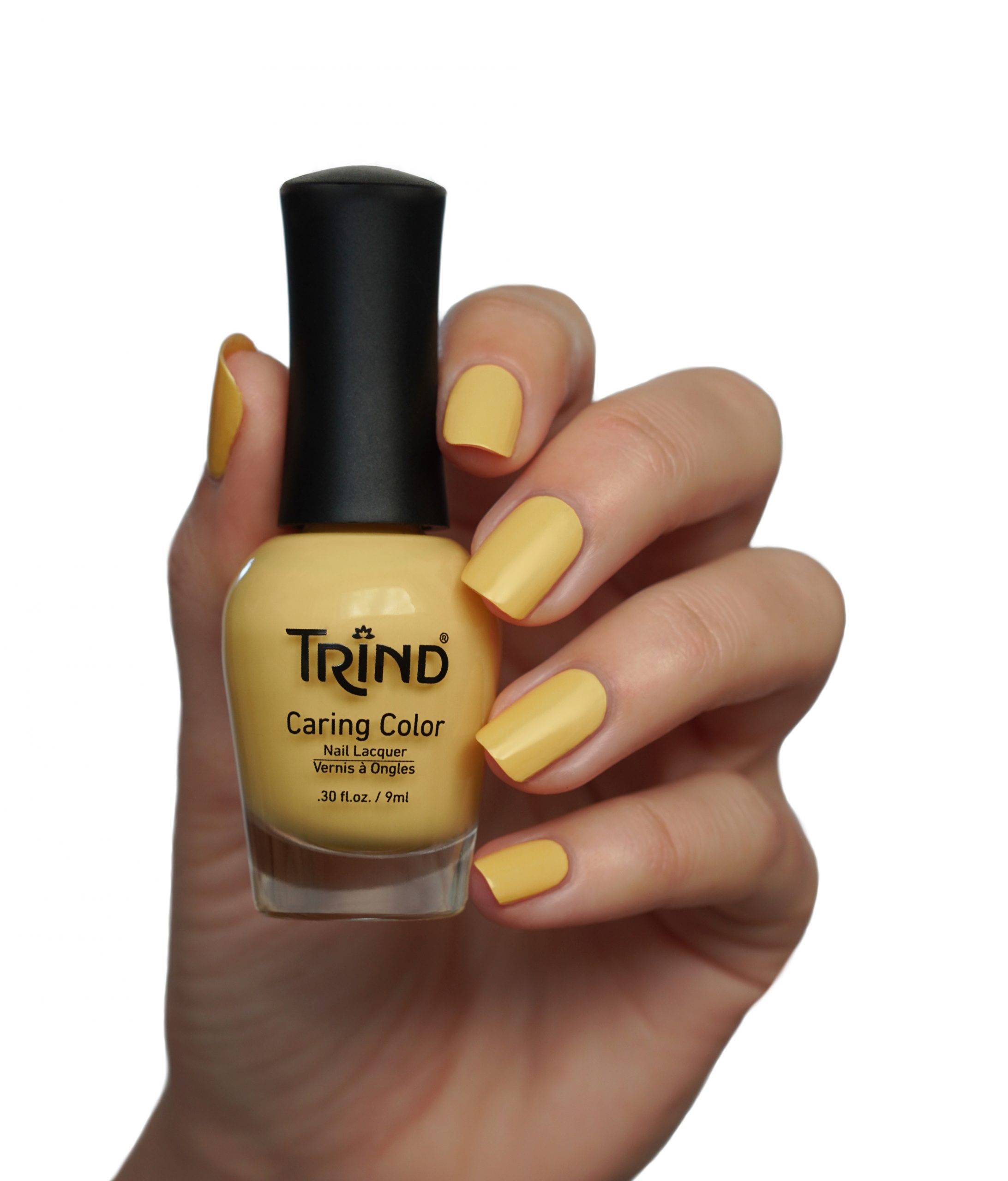Hello Sunshine CC304 - immagine 2